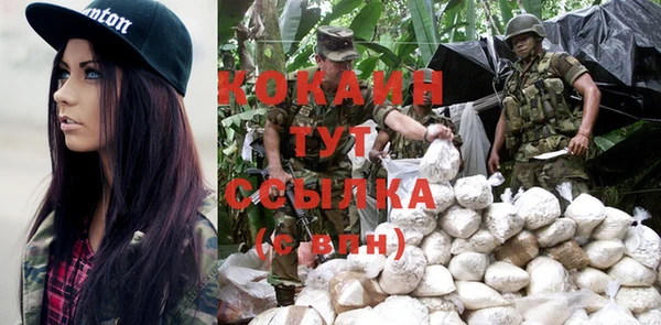PSILOCYBIN Алзамай