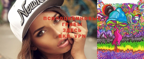 PSILOCYBIN Алзамай